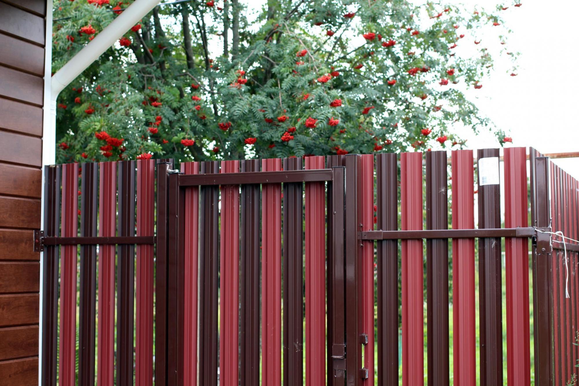 Забор Из Штакетника Фото Все Варианты